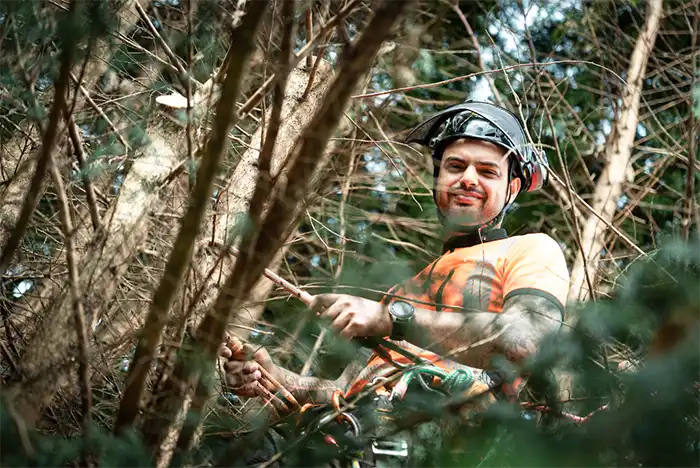 Smiling arborist pausing while climbing a tree, representing a dedicated Hereford tree surgeon