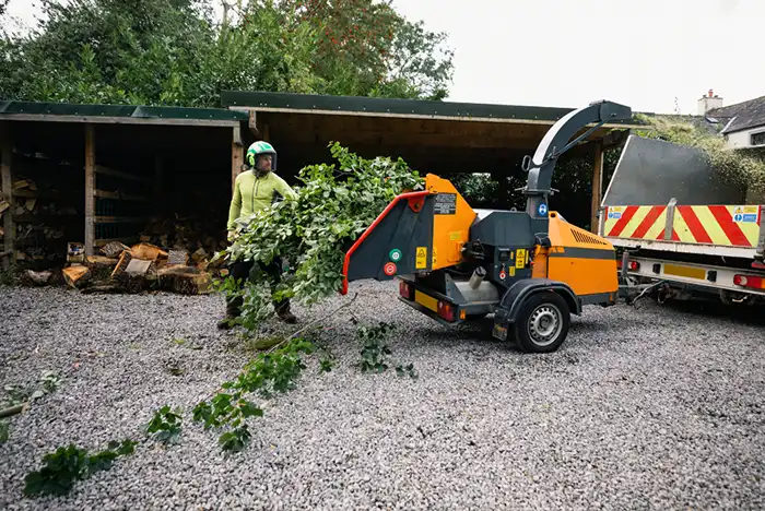 Commercial tree surgeon in Hereford expertly pruning a large tree with professional equipment, against a backdrop of an urban landscape.