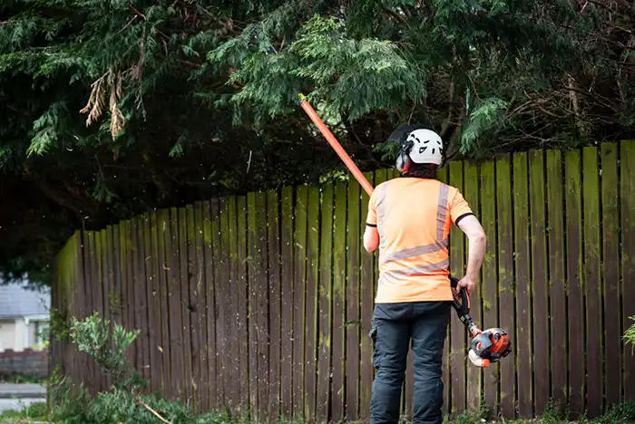 A professional hedge trimming service in action in Hereford, with a landscaper neatly cutting a tall, lush hedge