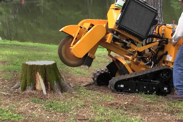 Large stump grinding machine about to grind a tree stump, with half of the operator visible in the frame